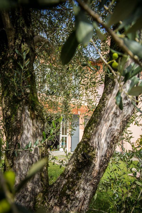 Maison Casa Lavanda ベッラージョ エクステリア 写真